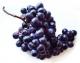Black Grapes Health Benefits